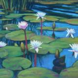 Water Lillies