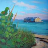 AMI City Pier Stranded