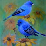 Indigo Buntings