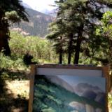 Uncompahgre National Forest