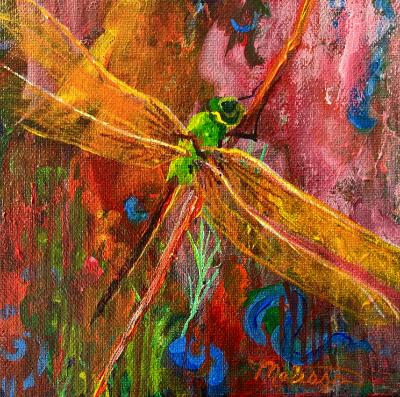 red dragonfly red dragonfly