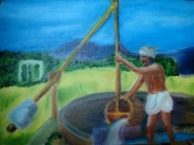 Farmer Farmer