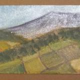 Mountain Farm Fields - Brown