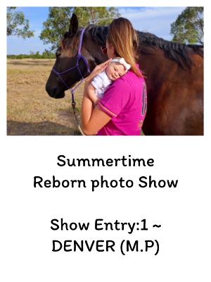SHOW ENTRY1: DENVER (M.P)