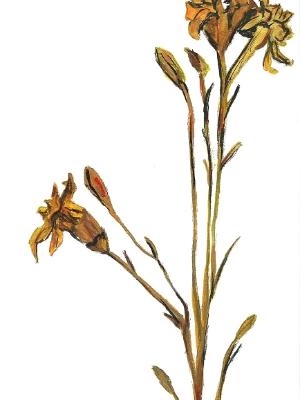 Half blooms fail to realize they are already dead - dream of Hegel. Half blooms fail to realize they are already dead - dream of Hegel.