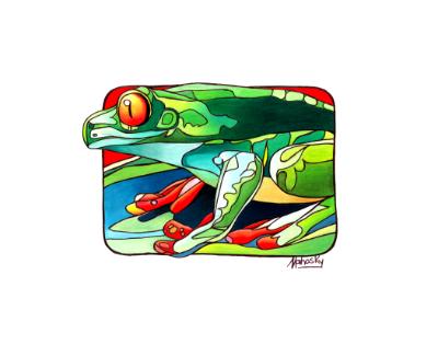 Red eyed tree frog Red eyed tree frog