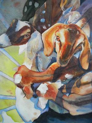 Goats Galore. How many do you see? Goats Galore. How many do you see?