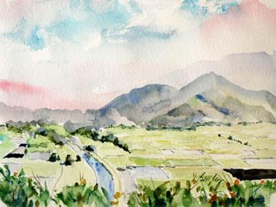 Hanalei Valley Overlook 