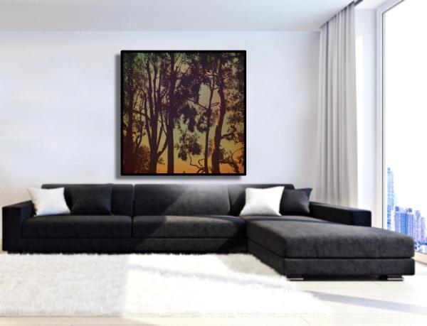 Trees