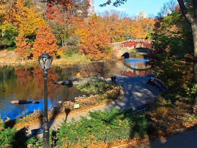 Central Park Path and Pond Central Park Path and Pond