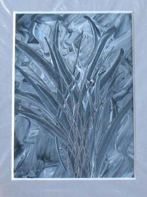 mini 5x7 matted mini 5x7 matted