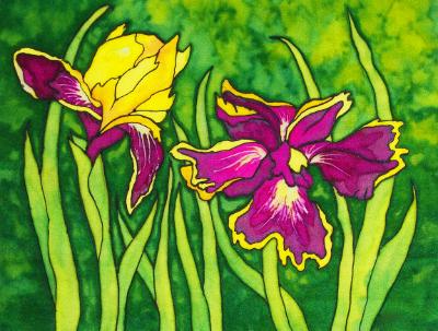 Bearded Iris Bearded Iris