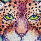 katnaj Artworks    *Colors in Harmony*   Earth,  Life,  Nature