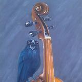 Black bird on violin