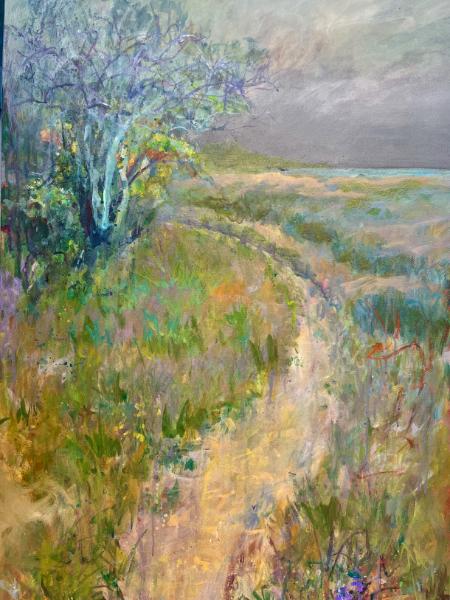 Path Through the Dunes