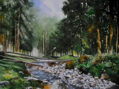 Transilvania mea, 38cm x 28cm, 2021 Transilvania mea, 38cm x 28cm, 2021