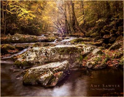 October Autumn sunrise at Tremont in the Great Smoky Mountains