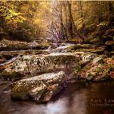 October Autumn sunrise at Tremont in the Great Smoky Mountains