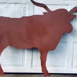 Long horned steer