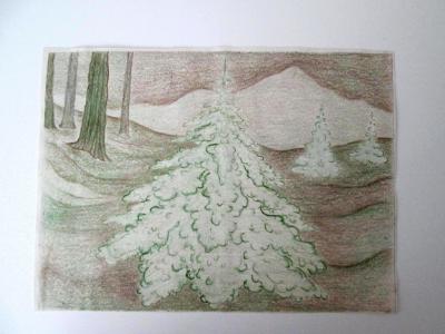 Snowy Tree 