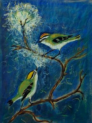 Kinglet Serenade Kinglet Serenade