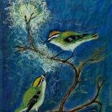 Kinglet Serenade