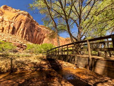 Shady Spring Day on Sulphur Creek Shady Spring Day on Sulphur Creek