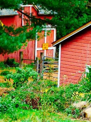 red barn