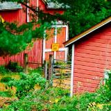 red barn