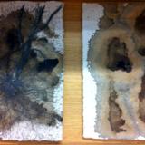 Selection of works at Land-e-scapes, Gallery @ City Library 2014