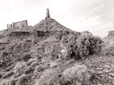 Castleton Tower and Juniper Tree Castleton Tower and Juniper Tree