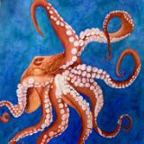 Dance of the Octopus
