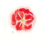 Terry Durell Art