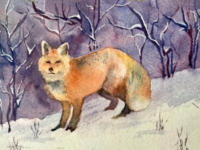 Fox in Winter