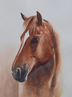 NEVIO, 25cm x 35cm, 2018 NEVIO, 25cm x 35cm, 2018
