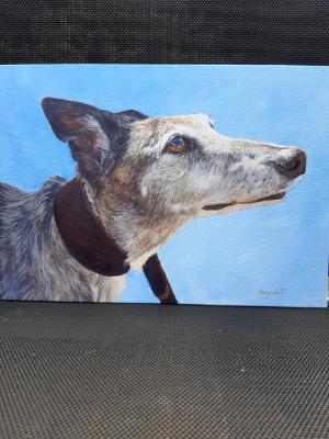 Greyhound in Acrylic