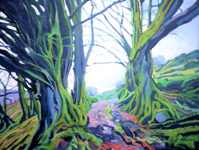 Beech trees at old Radworthy, Exmoor Beech trees at old Radworthy, Exmoor