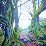 Beech trees at old Radworthy, Exmoor