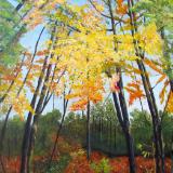 A soft walk in the forest