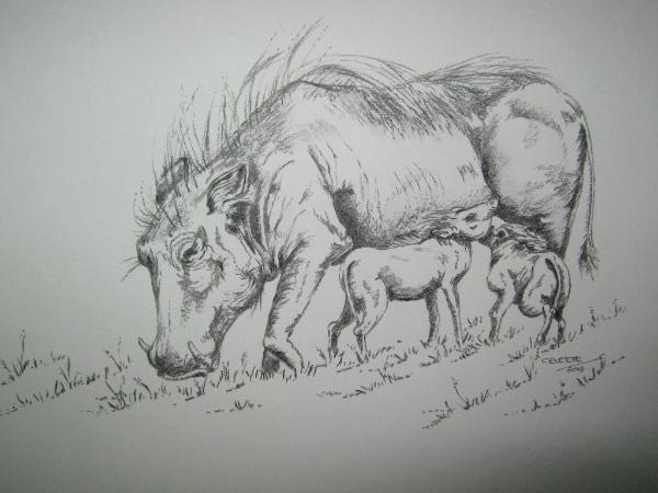 Warthog mother and babies