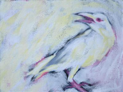White Crow White Crow