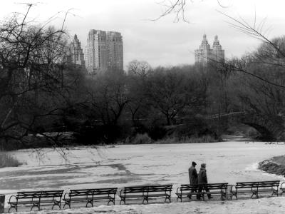 Central Park Winter Stroll Central Park Winter Stroll