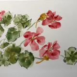 Artfolios/ Brush Painting Artfolios/ Brush Painting