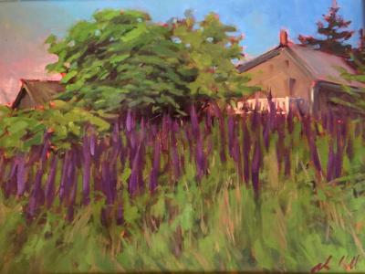 Lupine Field 18x24" oil Lupine Field 18x24" oil