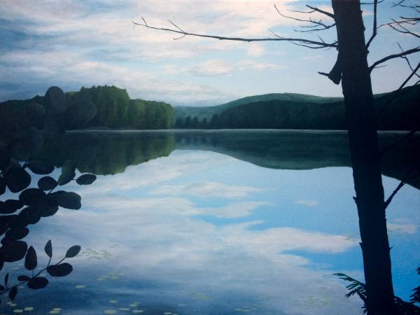 Pack Forest Landscape