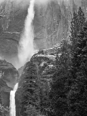 Yosemite Falls Forest B&W Yosemite Falls Forest B&W