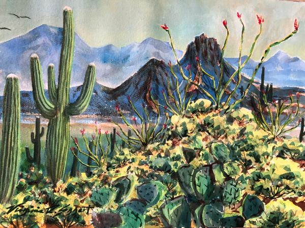 Saguaros and Octillo