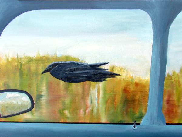 A car, a crow & a Startling