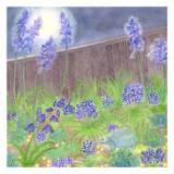The Moon, the Hyacinths and the Magic Tortoise