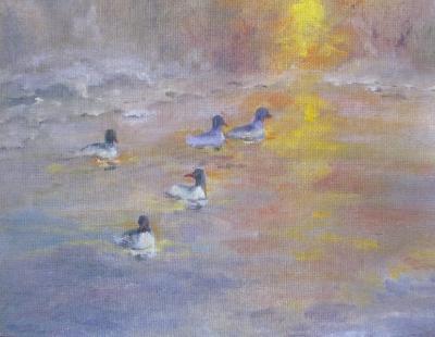 Mergansers at Sunset